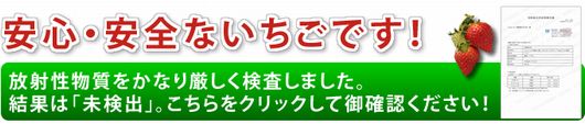 放射能検査結果リンクバナー