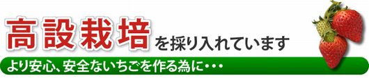 安全安心の栽培法バナー