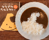 【軽】 【送料無料】金澤たんとカレー　10食セット
