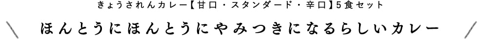 きょうされんカレー【甘口・スタンダード・辛口】５食セット