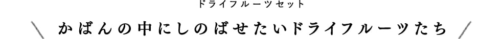 ドライフルーツセット