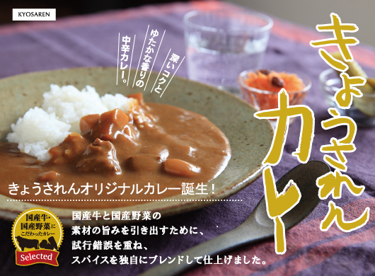 カレーイメージ写真。深いコクと豊かな香りの中辛カレー。国産牛と国産野菜使用。