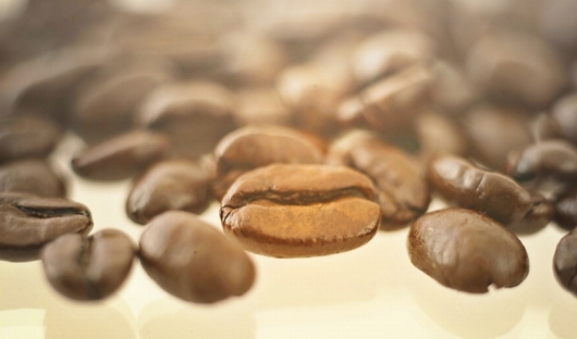 コーヒ豆イメージ写真