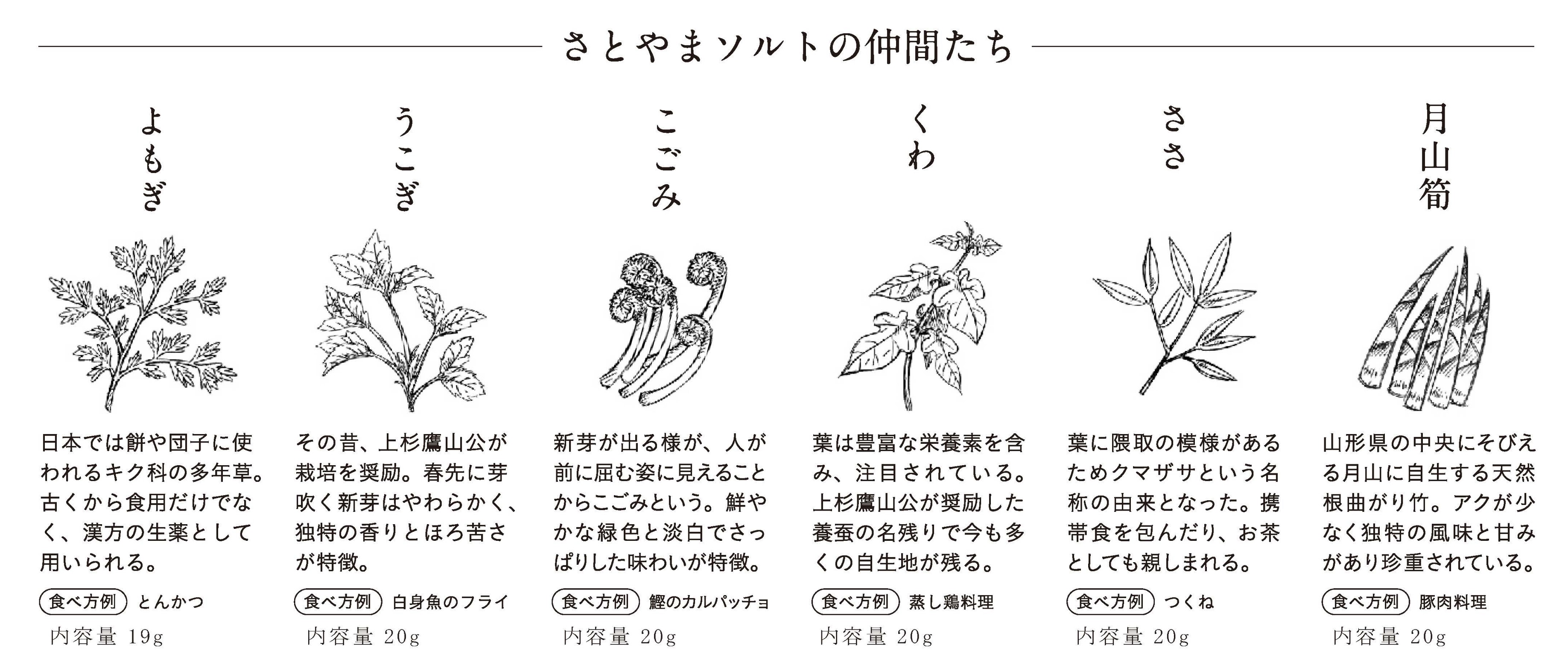 さとやまソルトの仲間たち　よもぎ　うこぎ　こごみ　くわ　ささ　月山筍