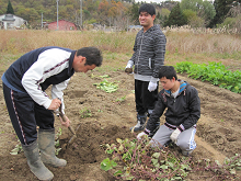 杉の木園