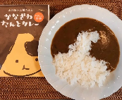【能登半島地震被災地支援】金澤たんとカレー　10食セット